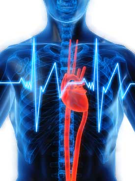 кардиология в израиле, лечение сердца в израиле